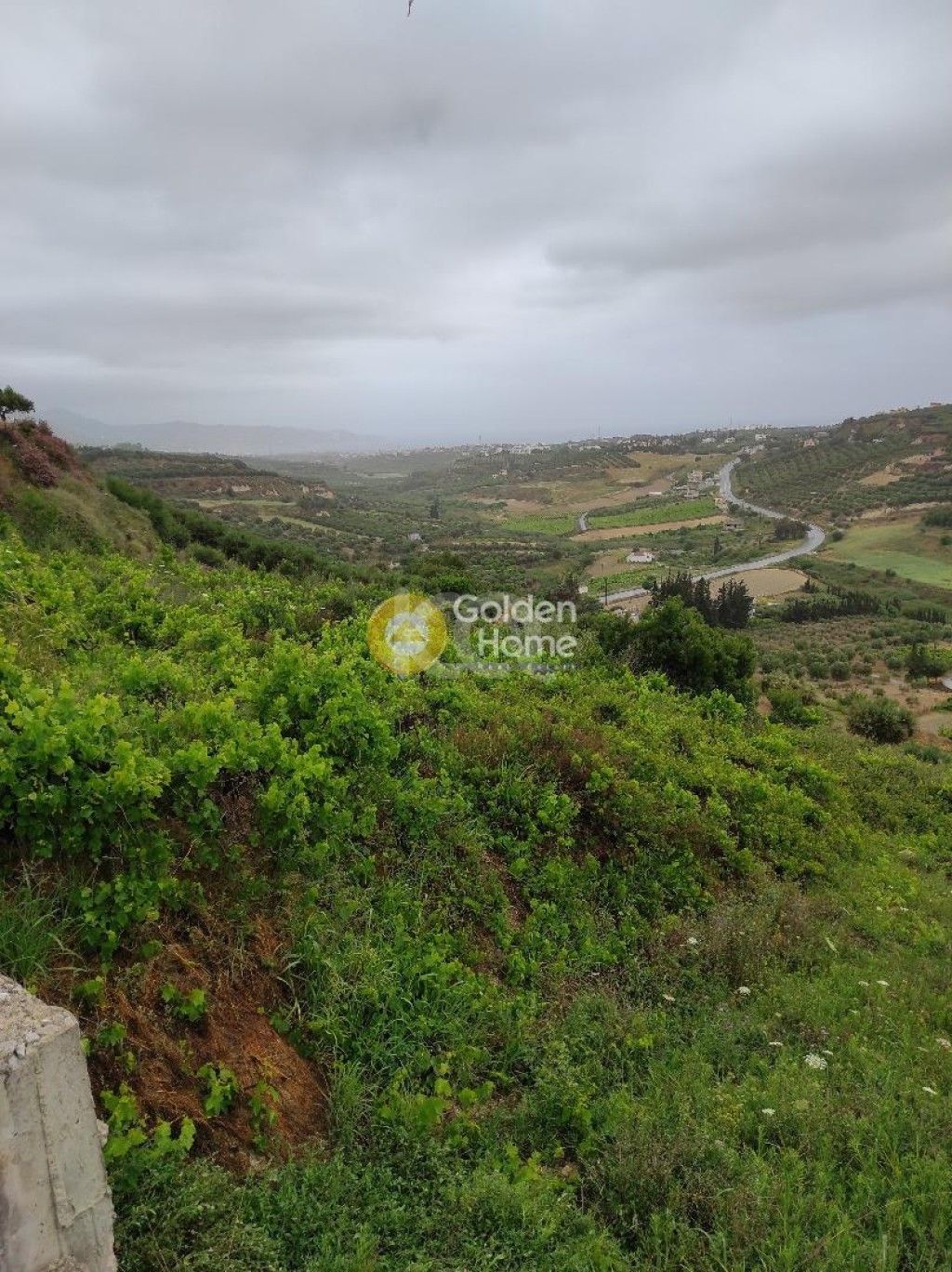 εικόνα αγγελίας