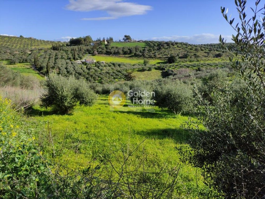 εικόνα αγγελίας