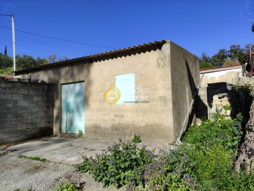 εικόνα αγγελίας