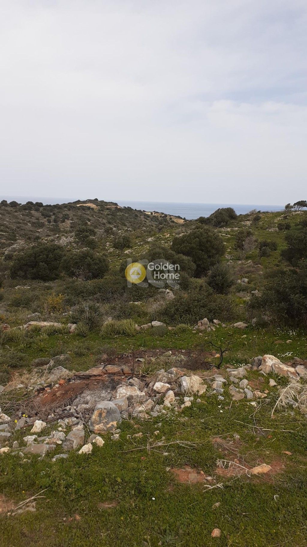 εικόνα αγγελίας