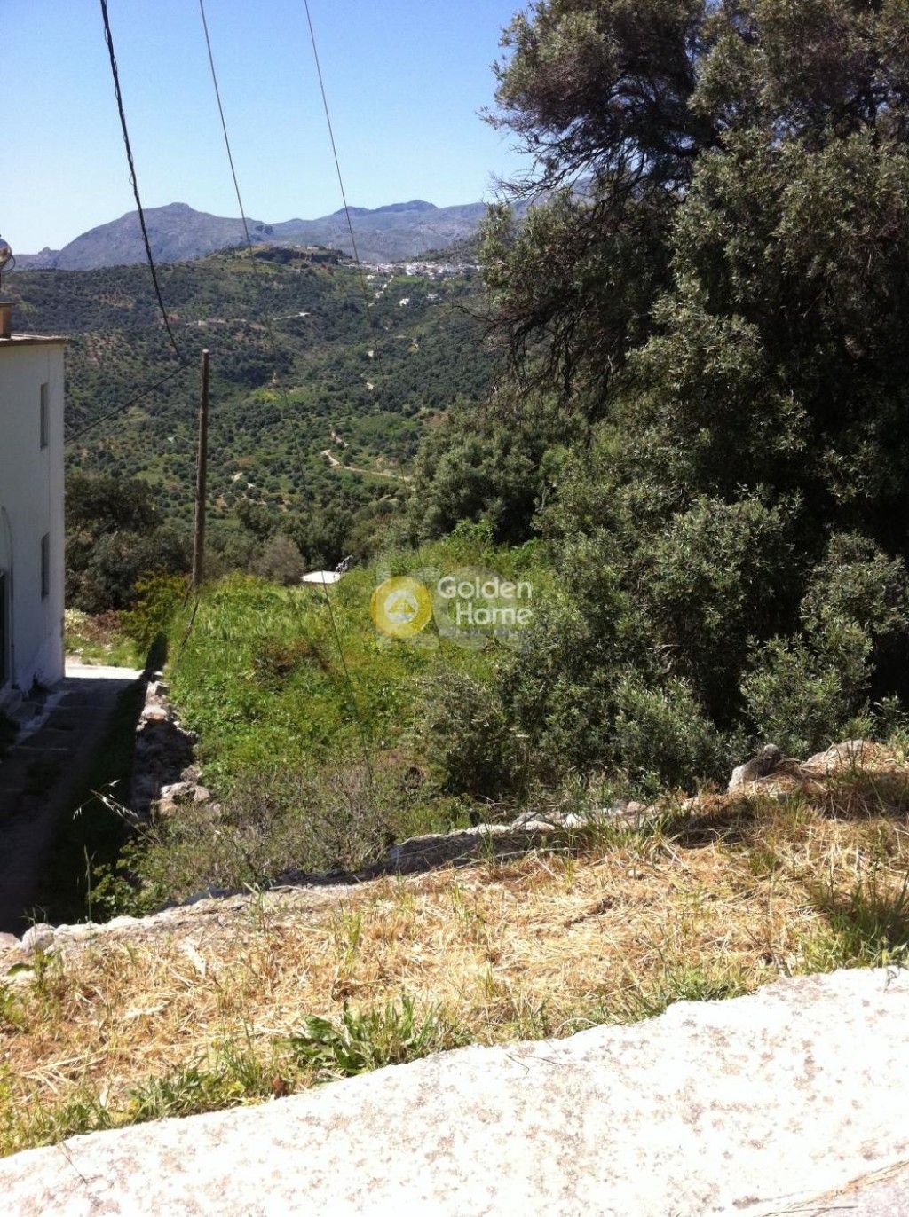 εικόνα αγγελίας