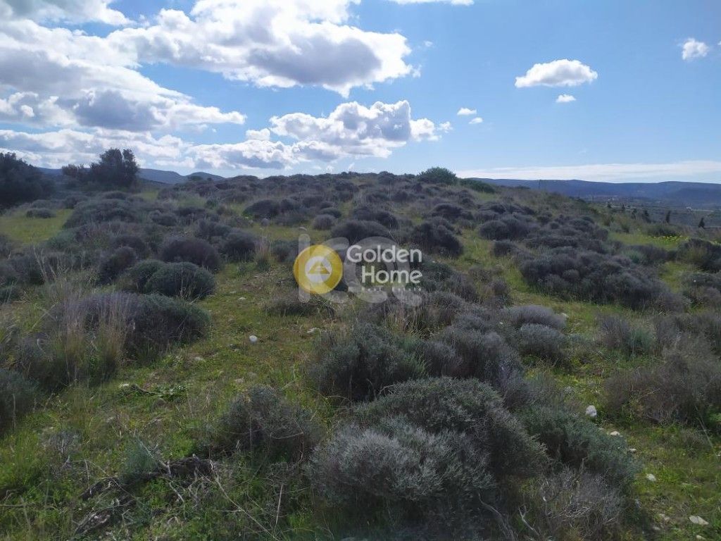 εικόνα αγγελίας