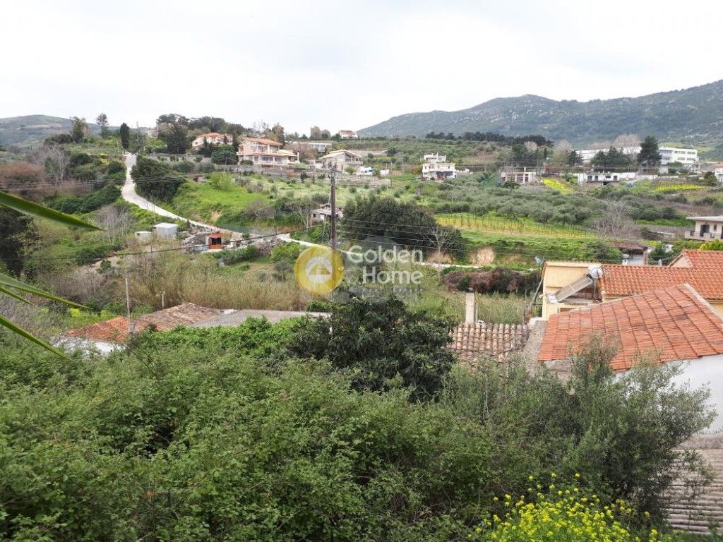 εικόνα αγγελίας