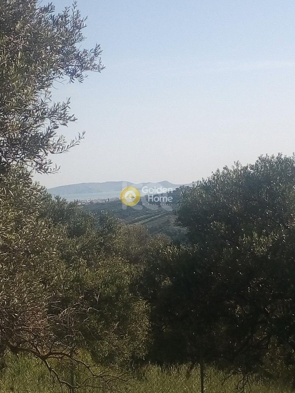 εικόνα αγγελίας