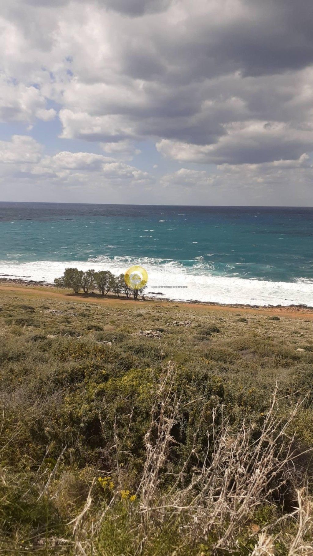 εικόνα αγγελίας