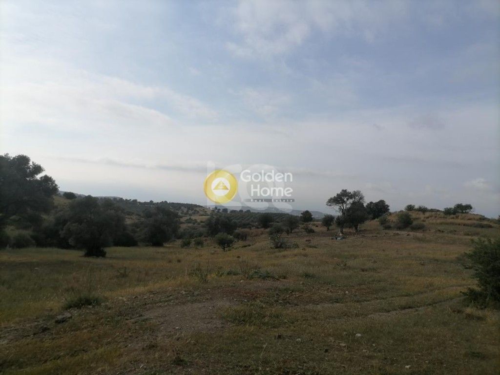 εικόνα αγγελίας