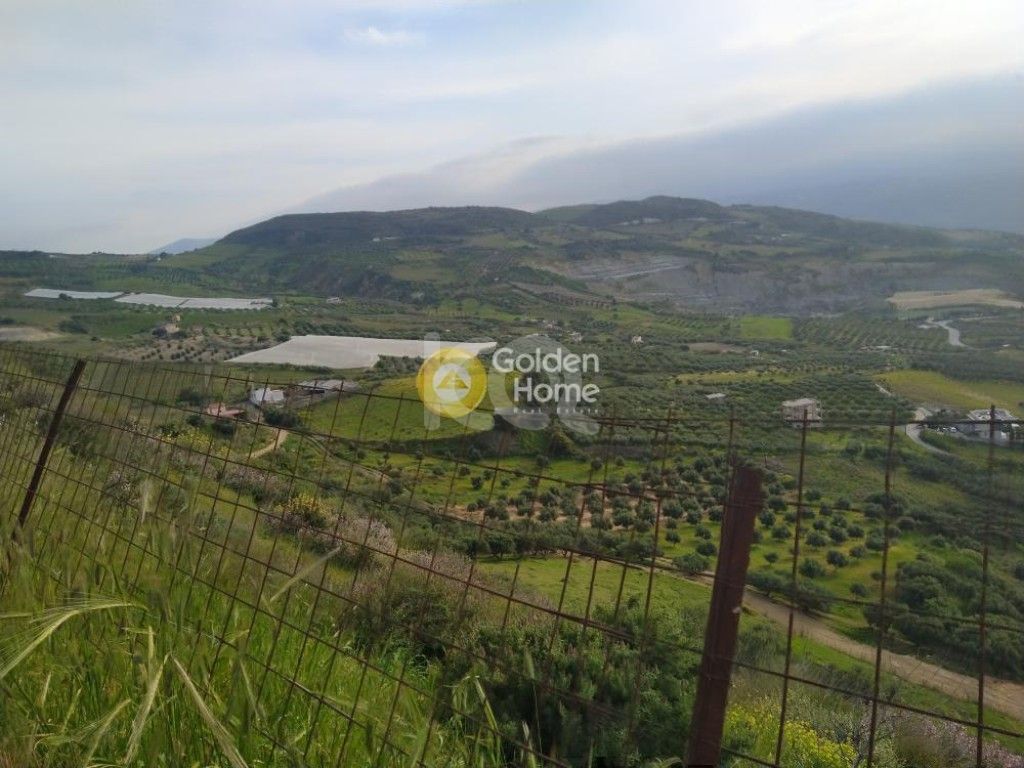 εικόνα αγγελίας