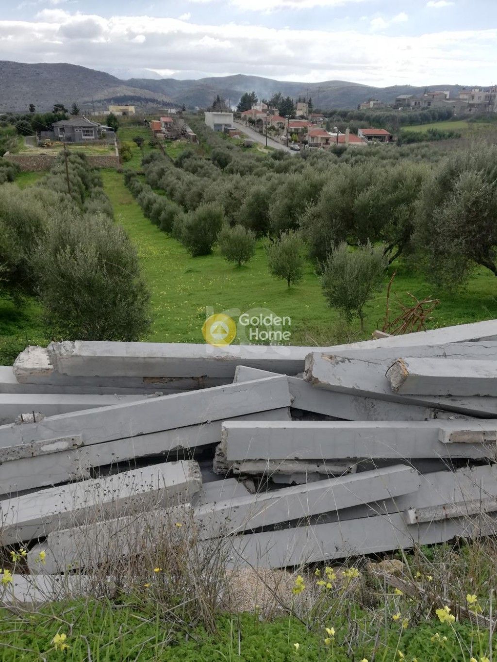 εικόνα αγγελίας