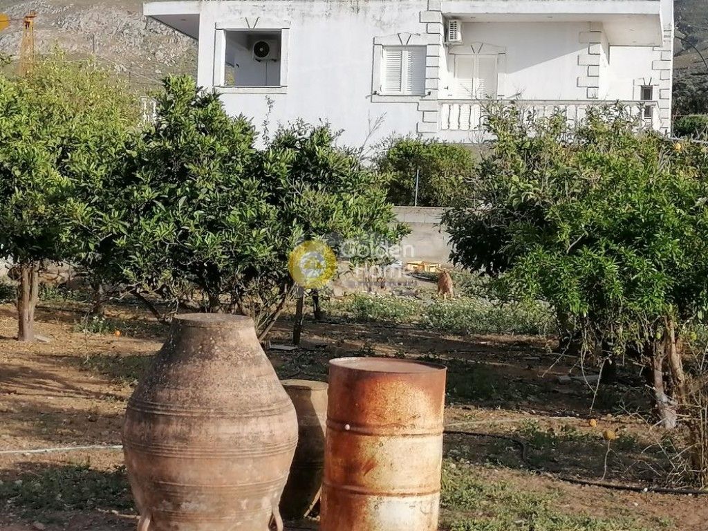 εικόνα αγγελίας