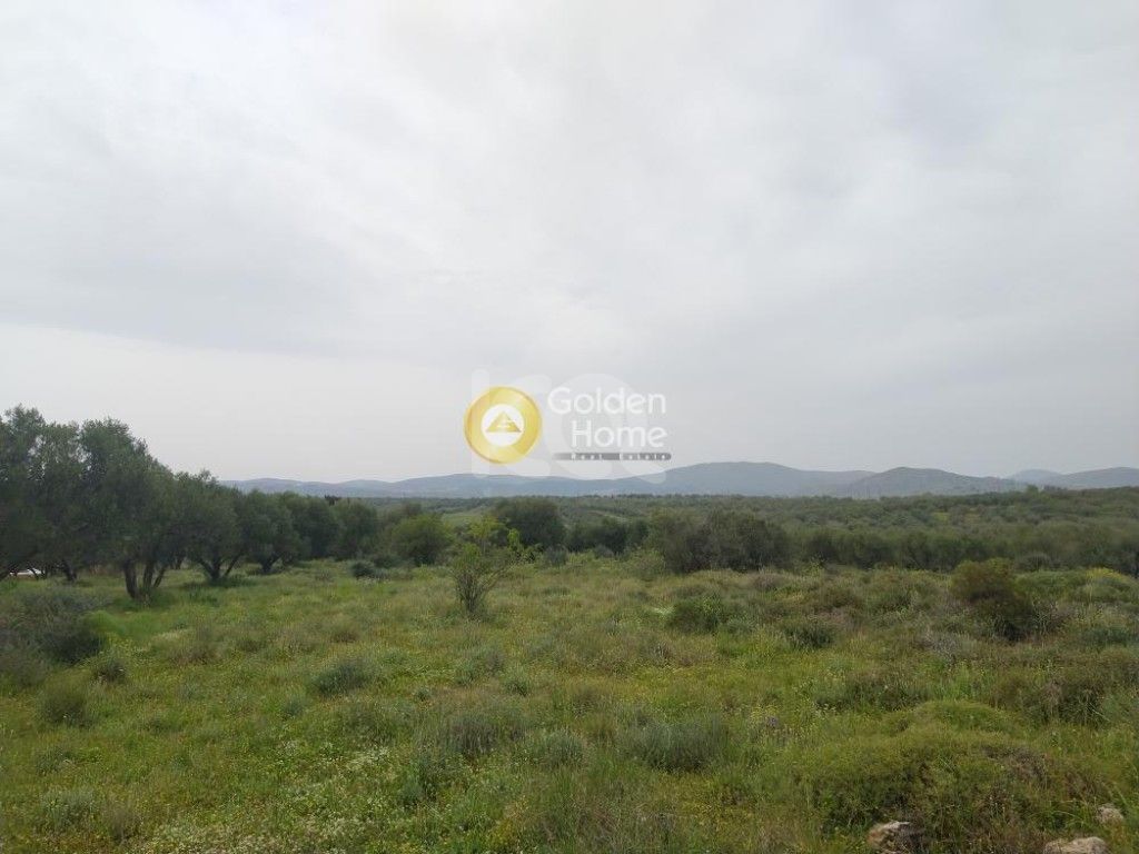 εικόνα αγγελίας