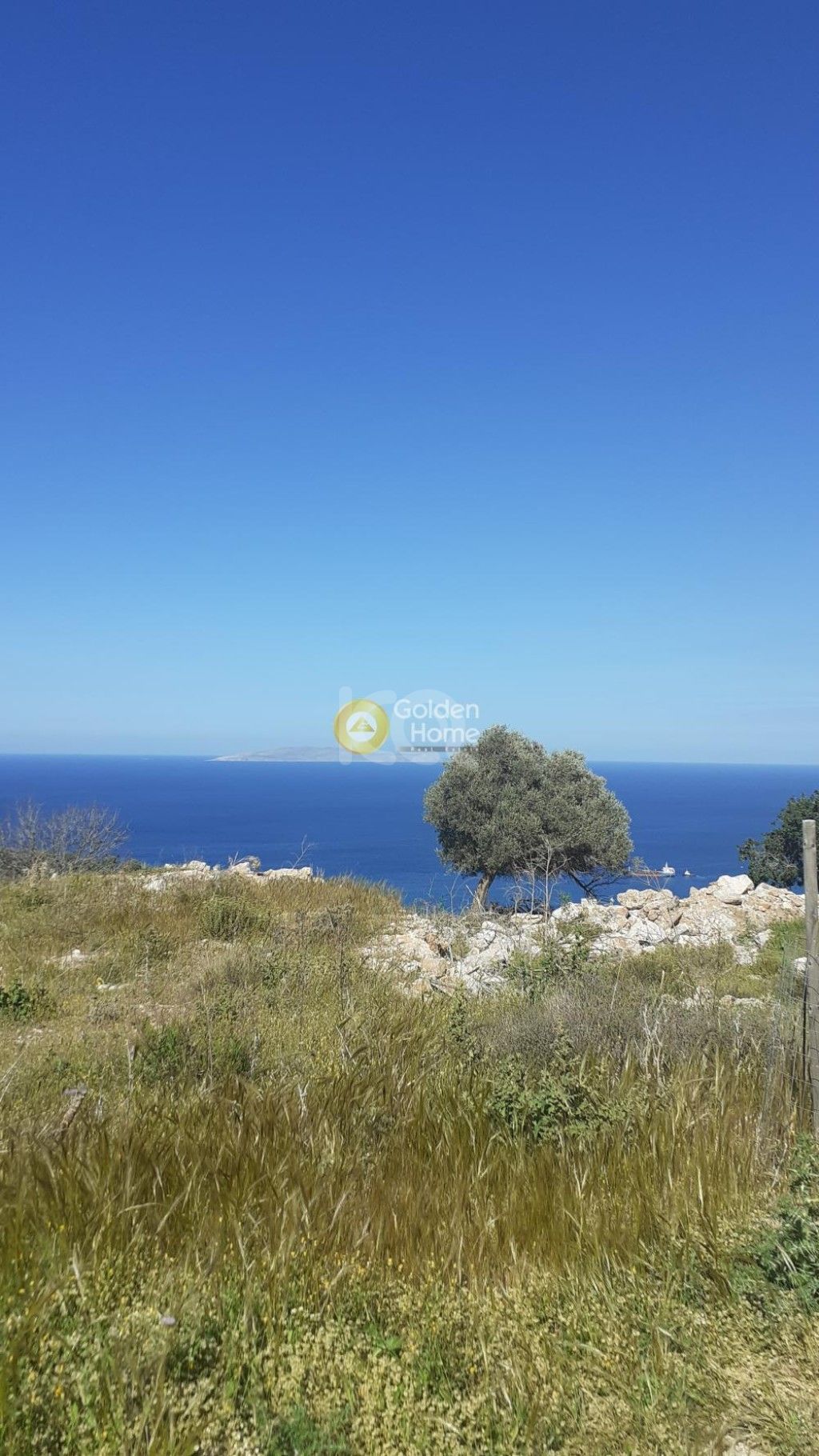 εικόνα αγγελίας