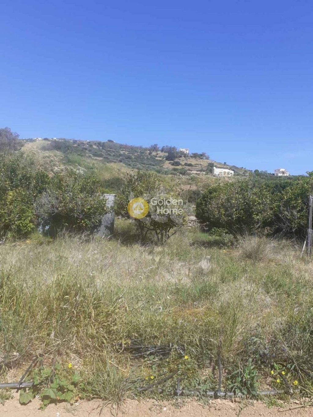 εικόνα αγγελίας