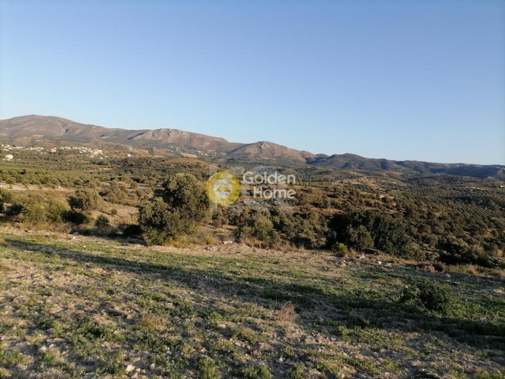 εικόνα αγγελίας