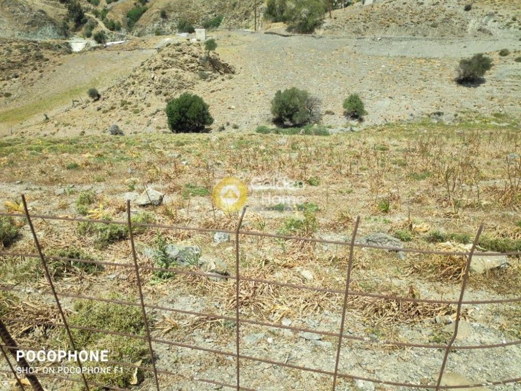 εικόνα αγγελίας