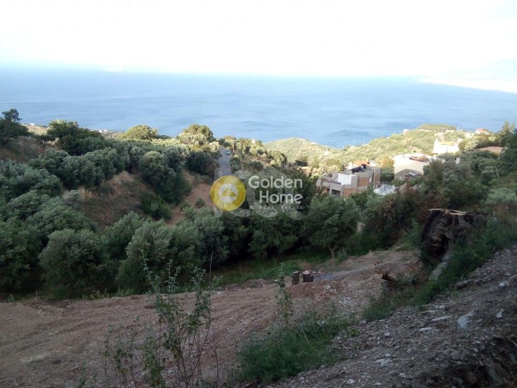 εικόνα αγγελίας