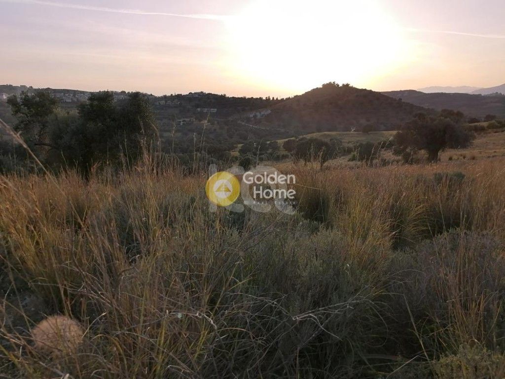 εικόνα αγγελίας