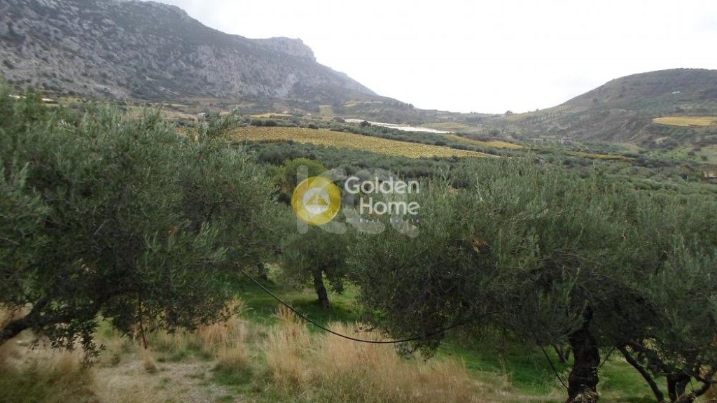 εικόνα αγγελίας