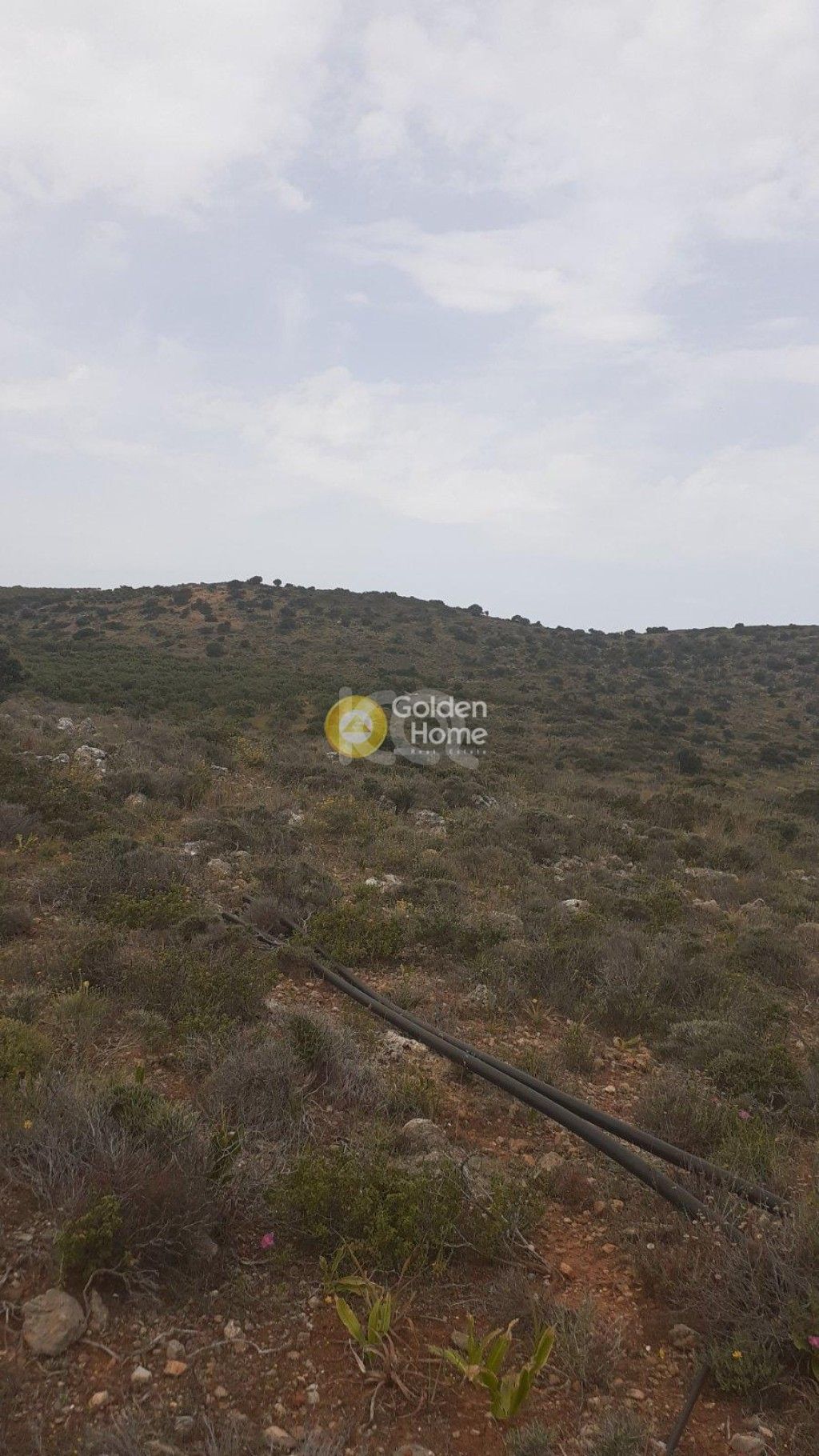 εικόνα αγγελίας