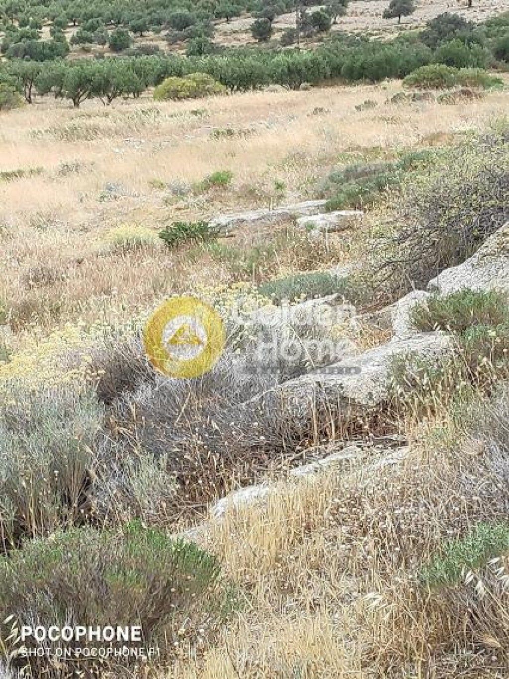 εικόνα αγγελίας