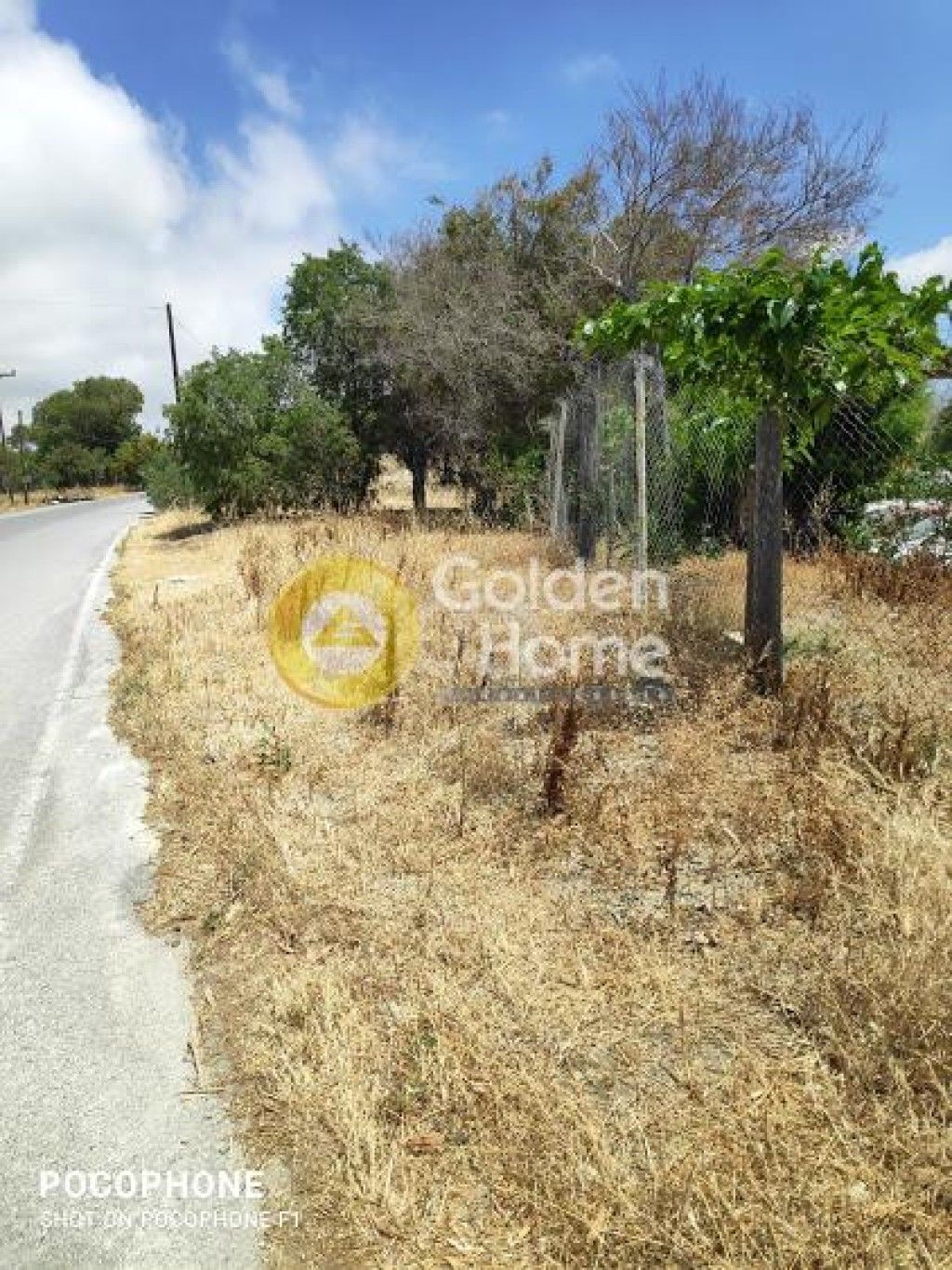 εικόνα αγγελίας