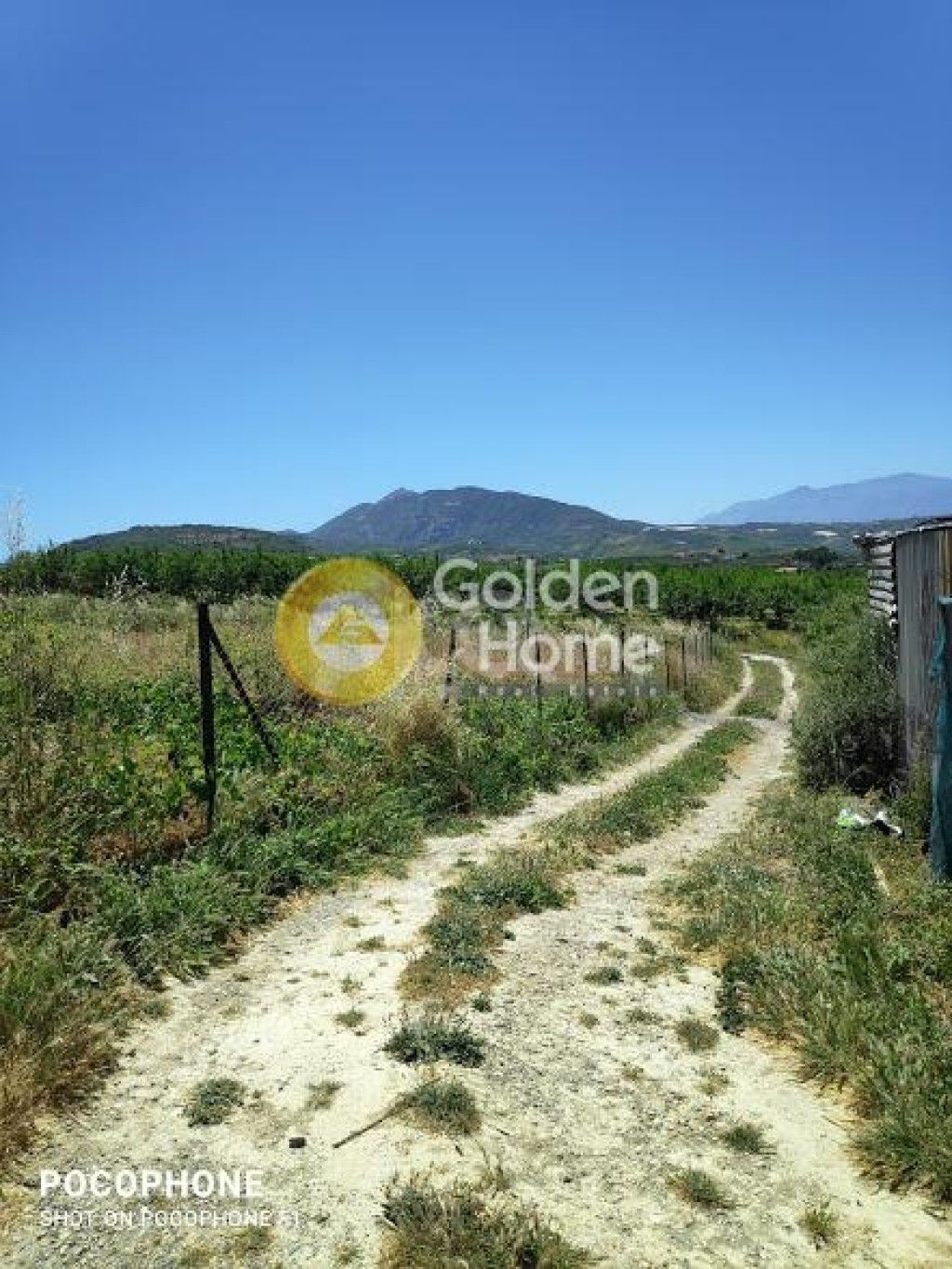 εικόνα αγγελίας