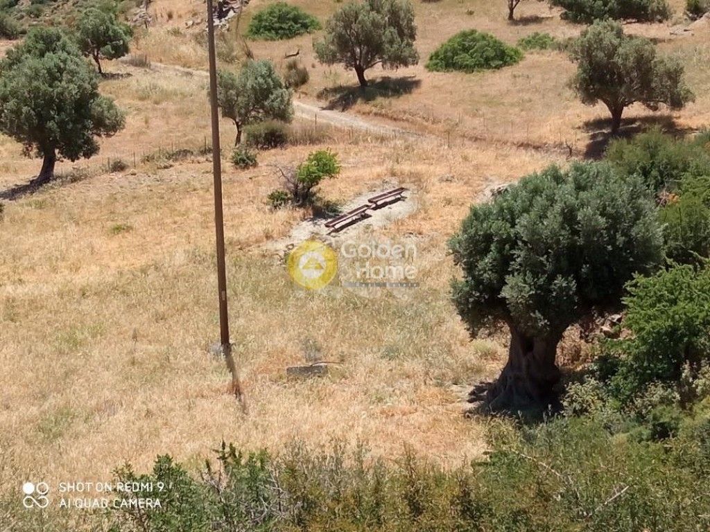 εικόνα αγγελίας