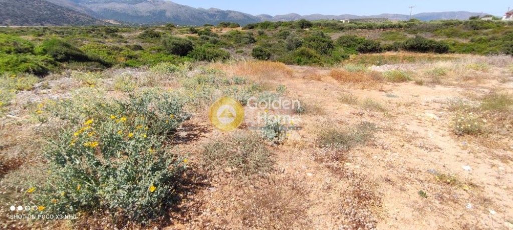 εικόνα αγγελίας