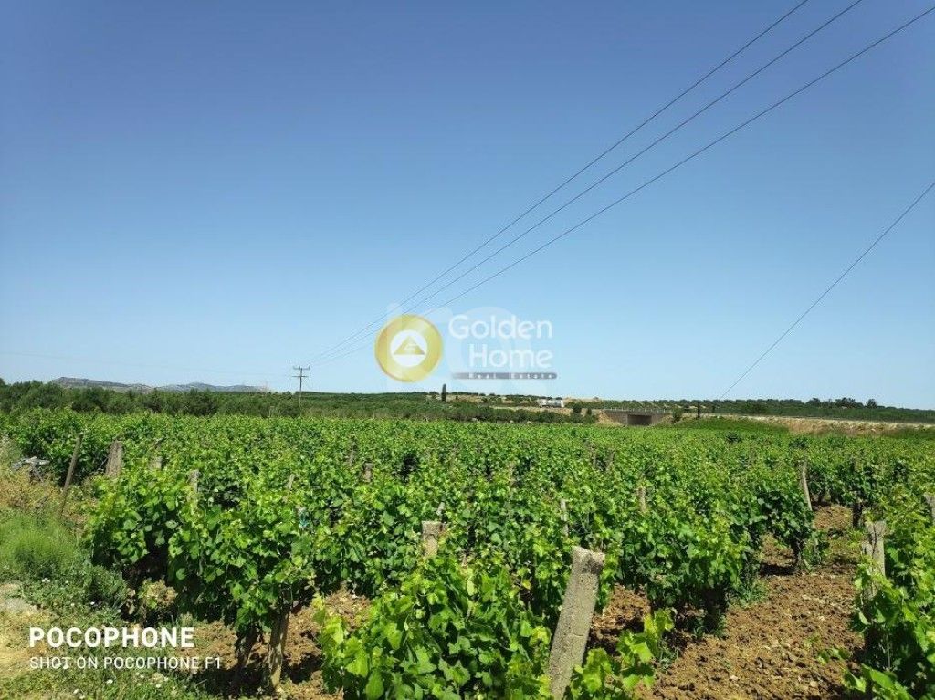 εικόνα αγγελίας