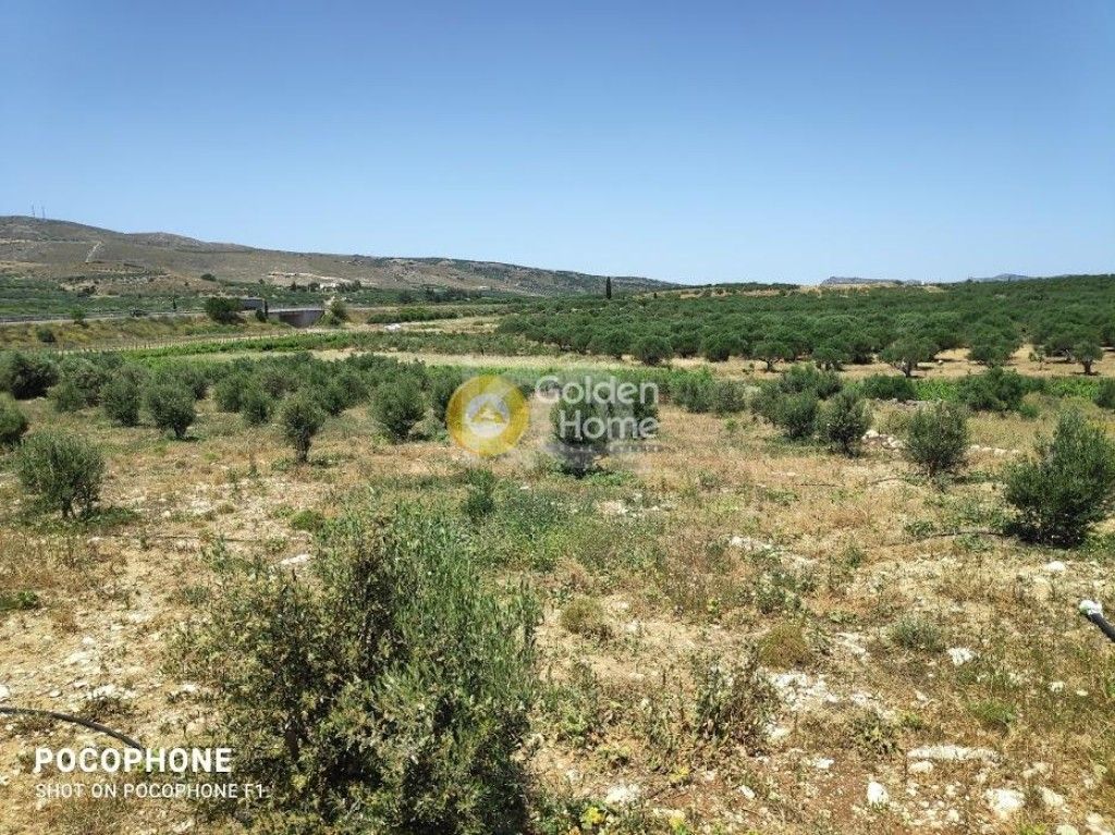 εικόνα αγγελίας