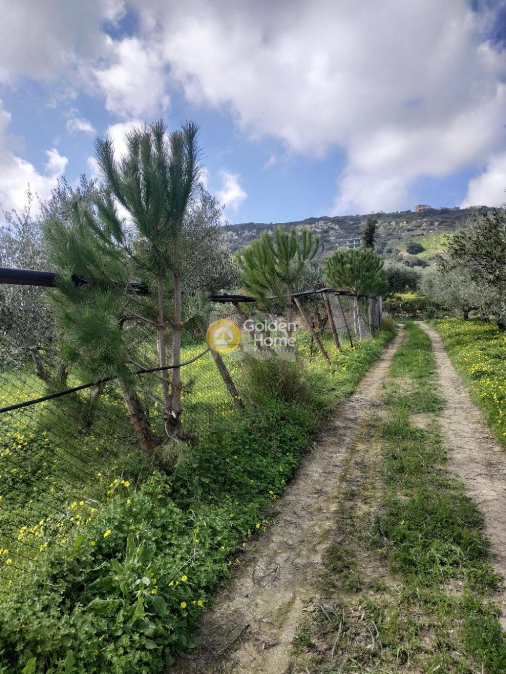 εικόνα αγγελίας