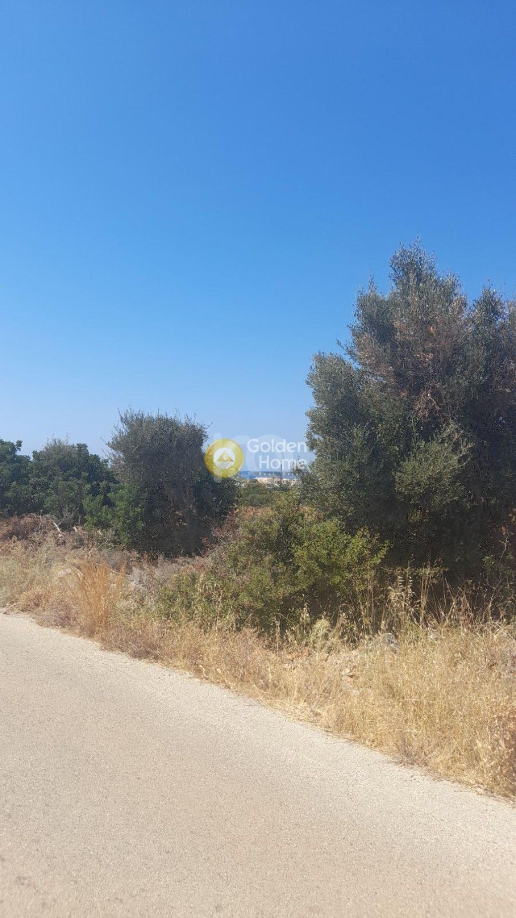 εικόνα αγγελίας