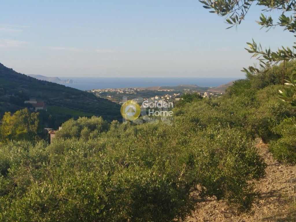 εικόνα αγγελίας