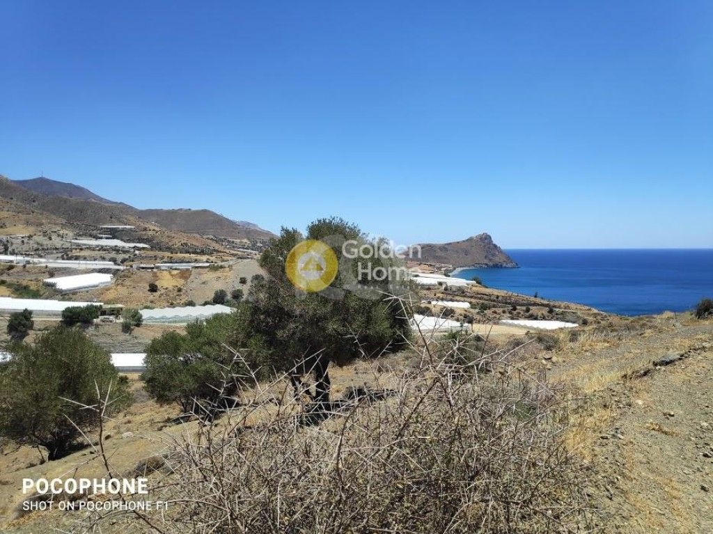 εικόνα αγγελίας