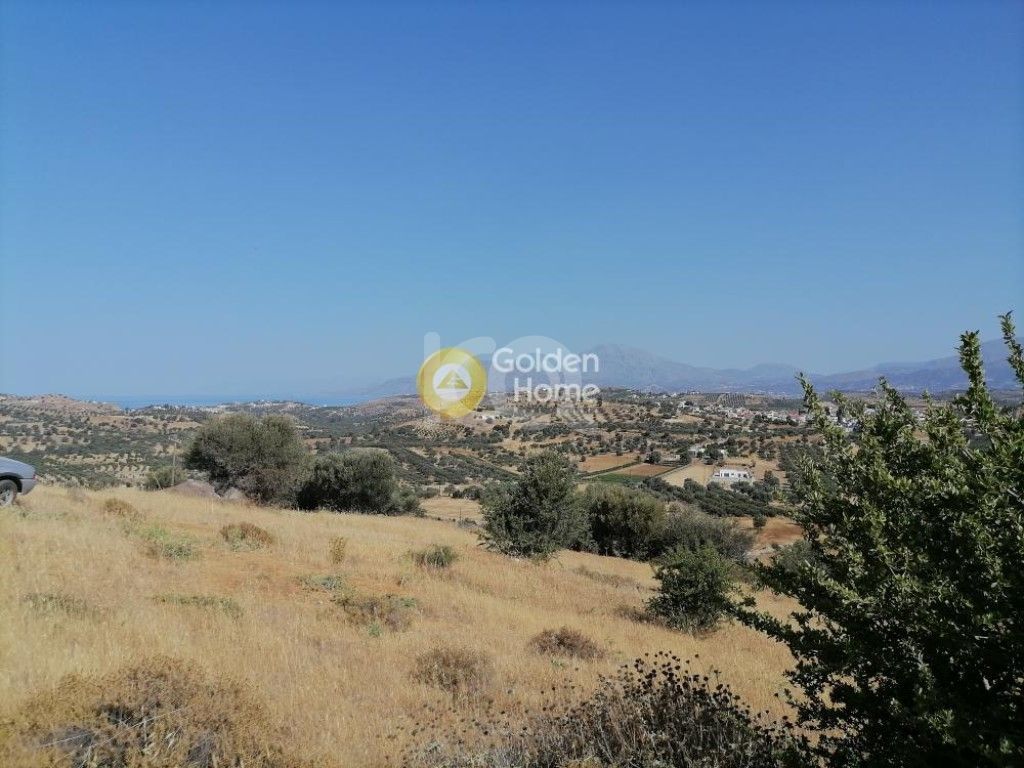 εικόνα αγγελίας