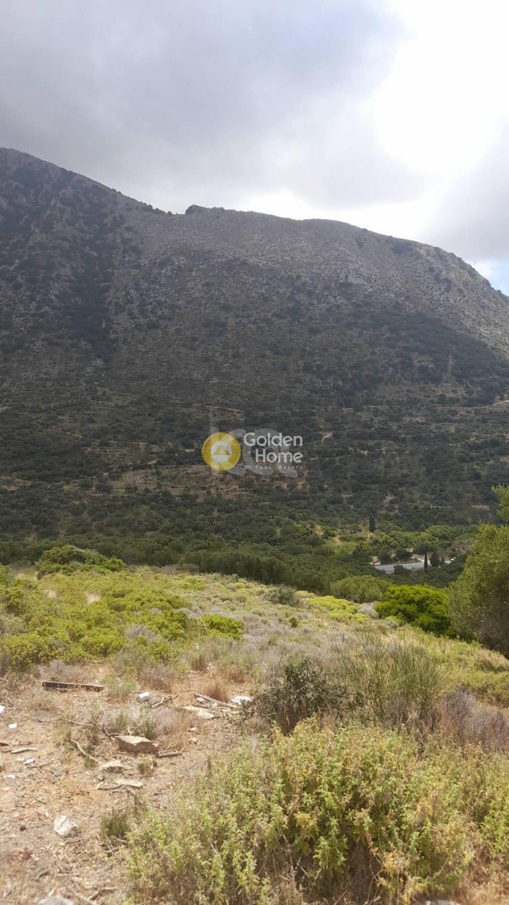 εικόνα αγγελίας