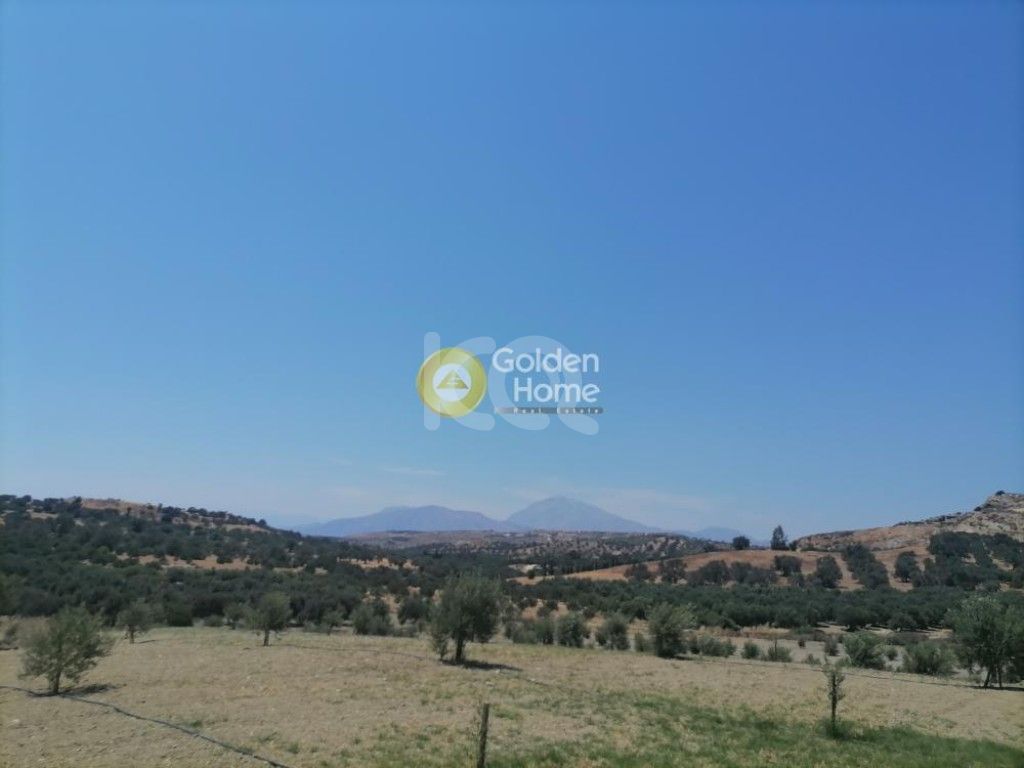 εικόνα αγγελίας