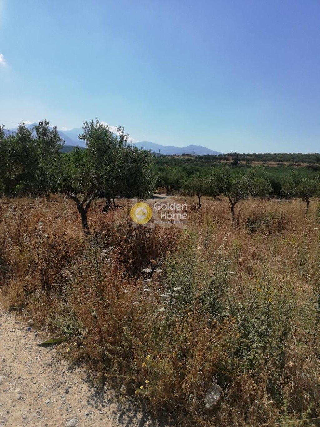 εικόνα αγγελίας