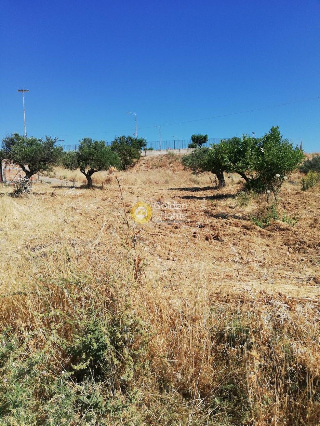 εικόνα αγγελίας