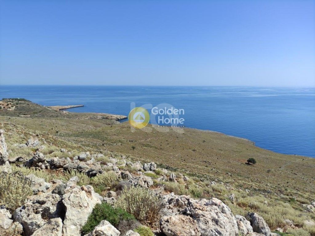 εικόνα αγγελίας