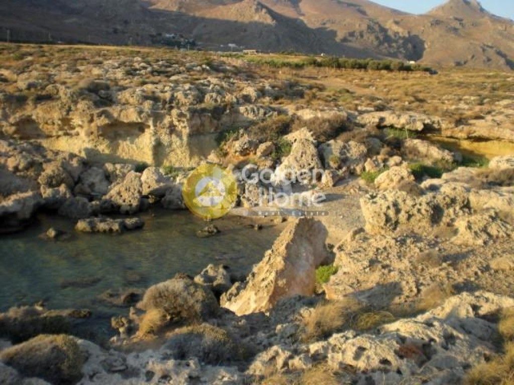 εικόνα αγγελίας