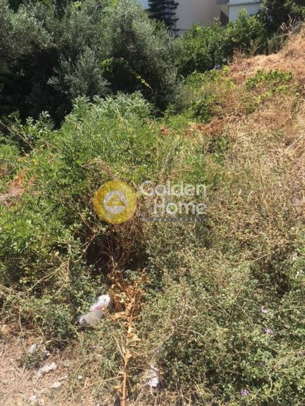 εικόνα αγγελίας