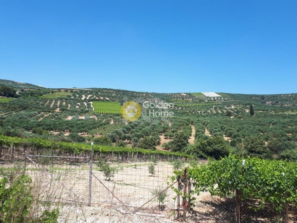 εικόνα αγγελίας