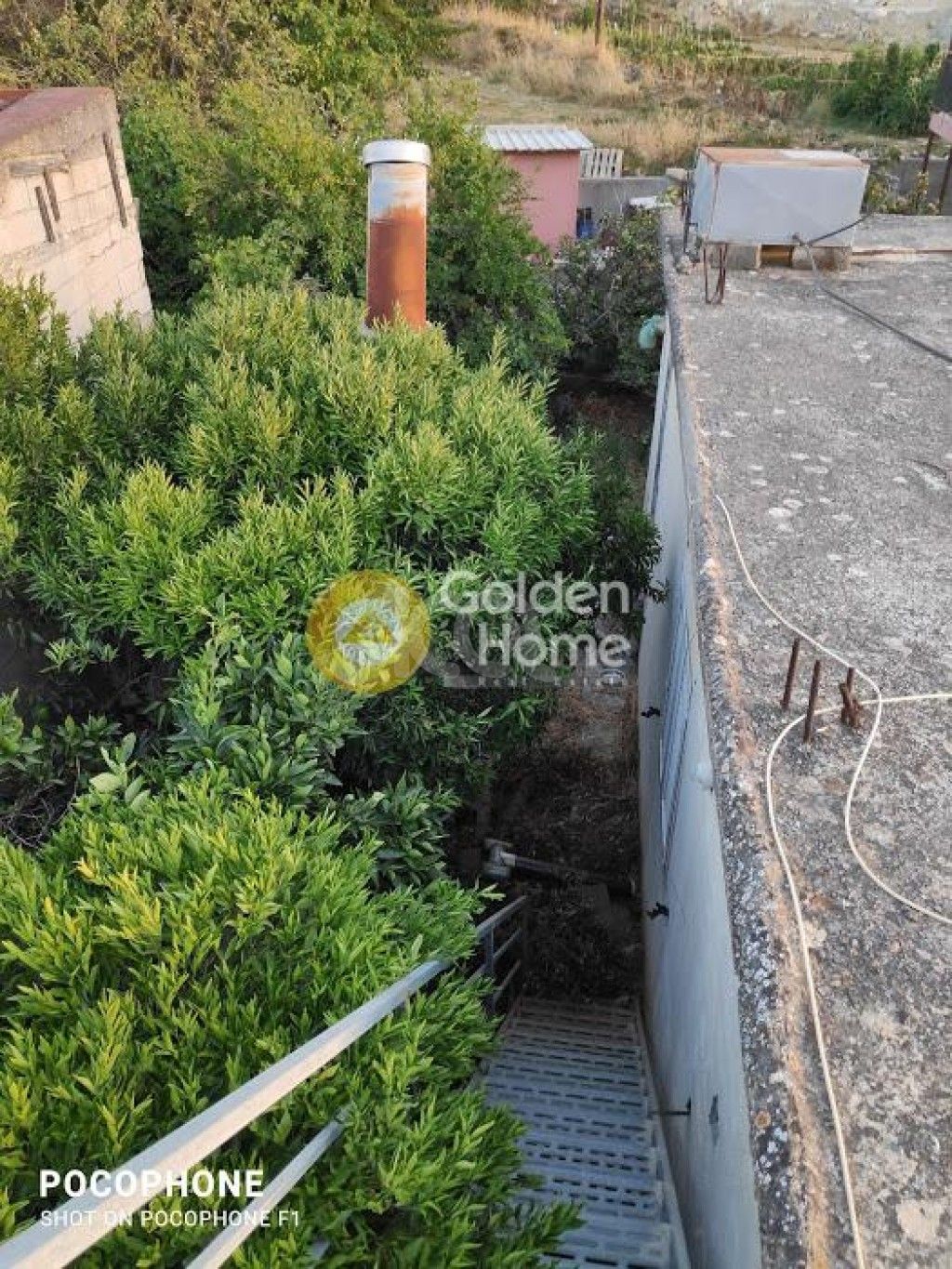 εικόνα αγγελίας