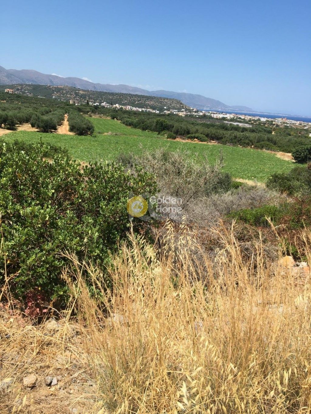 εικόνα αγγελίας