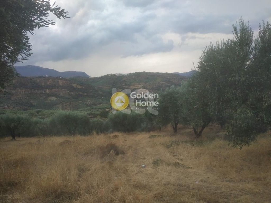 εικόνα αγγελίας