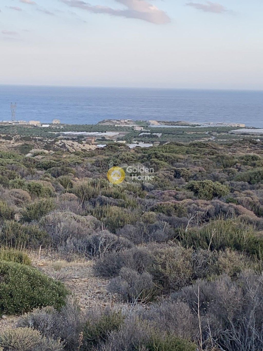 εικόνα αγγελίας
