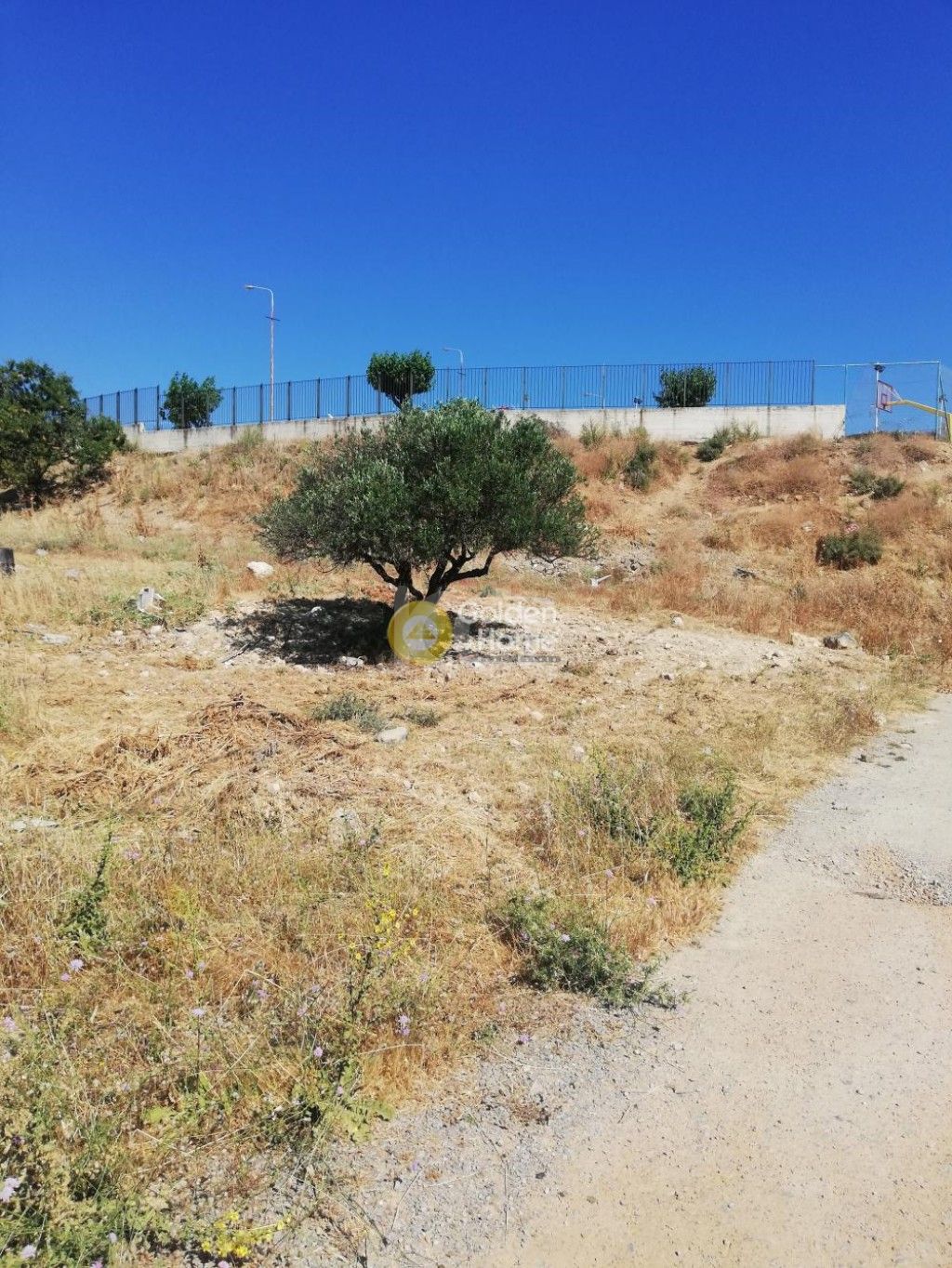 εικόνα αγγελίας