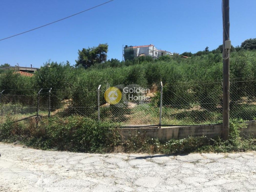 εικόνα αγγελίας