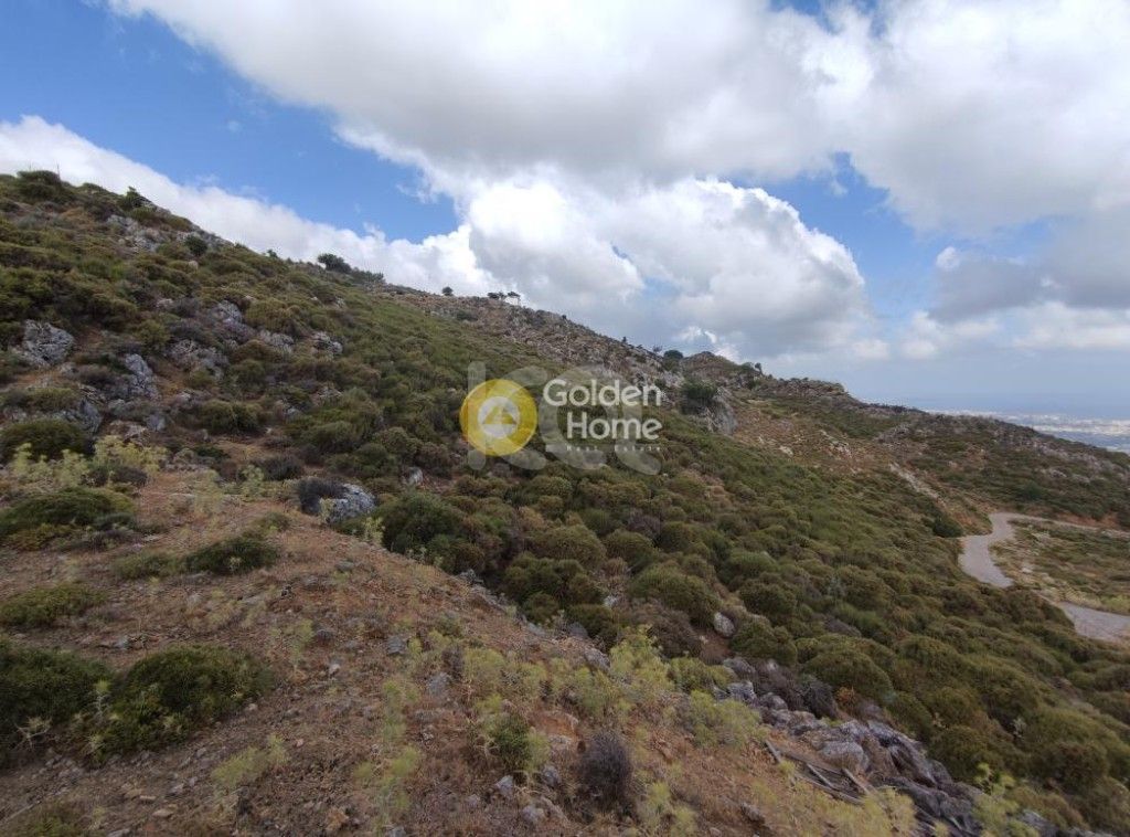 εικόνα αγγελίας