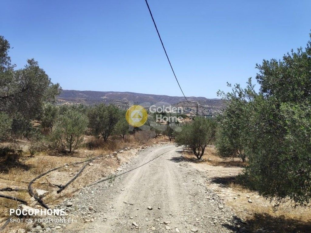 εικόνα αγγελίας